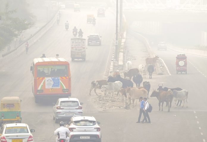 Delhi Chokes Under Very Poor Air Quality; AQI Hits 360