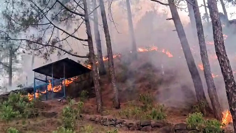 Massive Forest Fire Erupts Across Multiple Areas In Rajouri Forest Division; Firefighting Efforts Intensified